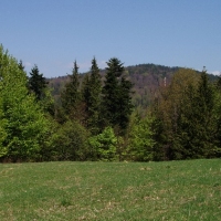 (119/191): Wycieczka turystyczna - Beskid �ywiecki Zwardo� - Wlk. Racza - Przegibek - Bendoszka Wlk. - S�l  2-3.05.2009r.