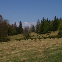 (126/191): Wycieczka turystyczna - Beskid �ywiecki Zwardo� - Wlk. Racza - Przegibek - Bendoszka Wlk. - S�l  2-3.05.2009r.