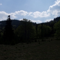 (127/191): Wycieczka turystyczna - Beskid �ywiecki Zwardo� - Wlk. Racza - Przegibek - Bendoszka Wlk. - S�l  2-3.05.2009r.