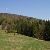 (128/191): Wycieczka turystyczna - Beskid �ywiecki Zwardo� - Wlk. Racza - Przegibek - Bendoszka Wlk. - S�l  2-3.05.2009r.