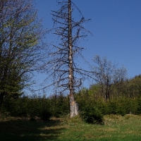 (129/191): Wycieczka turystyczna - Beskid �ywiecki Zwardo� - Wlk. Racza - Przegibek - Bendoszka Wlk. - S�l  2-3.05.2009r.