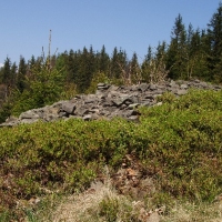 (135/191): Wycieczka turystyczna - Beskid �ywiecki Zwardo� - Wlk. Racza - Przegibek - Bendoszka Wlk. - S�l  2-3.05.2009r.