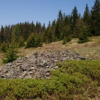 (136/191): Wycieczka turystyczna - Beskid �ywiecki Zwardo� - Wlk. Racza - Przegibek - Bendoszka Wlk. - S�l  2-3.05.2009r.