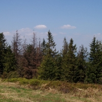 (139/191): Wycieczka turystyczna - Beskid �ywiecki Zwardo� - Wlk. Racza - Przegibek - Bendoszka Wlk. - S�l  2-3.05.2009r.