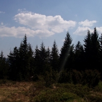(140/191): Wycieczka turystyczna - Beskid �ywiecki Zwardo� - Wlk. Racza - Przegibek - Bendoszka Wlk. - S�l  2-3.05.2009r.