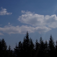 (141/191): Wycieczka turystyczna - Beskid �ywiecki Zwardo� - Wlk. Racza - Przegibek - Bendoszka Wlk. - S�l  2-3.05.2009r.