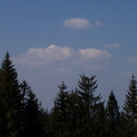 (143/191): Wycieczka turystyczna - Beskid �ywiecki Zwardo� - Wlk. Racza - Przegibek - Bendoszka Wlk. - S�l  2-3.05.2009r.