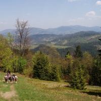 (146/191): Wycieczka turystyczna - Beskid �ywiecki Zwardo� - Wlk. Racza - Przegibek - Bendoszka Wlk. - S�l  2-3.05.2009r.