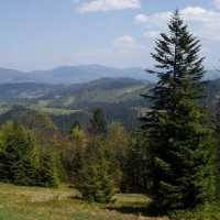 (147/191): Wycieczka turystyczna - Beskid �ywiecki Zwardo� - Wlk. Racza - Przegibek - Bendoszka Wlk. - S�l  2-3.05.2009r.
