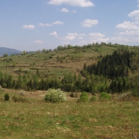 (149/191): Wycieczka turystyczna - Beskid �ywiecki Zwardo� - Wlk. Racza - Przegibek - Bendoszka Wlk. - S�l  2-3.05.2009r.
