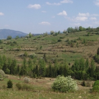 (152/191): Wycieczka turystyczna - Beskid �ywiecki Zwardo� - Wlk. Racza - Przegibek - Bendoszka Wlk. - S�l  2-3.05.2009r.