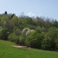 (153/191): Wycieczka turystyczna - Beskid �ywiecki Zwardo� - Wlk. Racza - Przegibek - Bendoszka Wlk. - S�l  2-3.05.2009r.