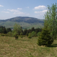 (174/191): Wycieczka turystyczna - Beskid �ywiecki Zwardo� - Wlk. Racza - Przegibek - Bendoszka Wlk. - S�l  2-3.05.2009r.