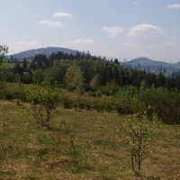 (175/191): Wycieczka turystyczna - Beskid �ywiecki Zwardo� - Wlk. Racza - Przegibek - Bendoszka Wlk. - S�l  2-3.05.2009r.