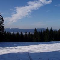 (7/97): Wycieczka turystyczna - Prze. Glinka (845m n.p.m.) - Krawcw Wierch (1084m n.p.m.) - Trzy Kopce (1216m n.p.m.) - Hala Rysianka (1260m n.p.m.) - Hala Lipowska - Zatna