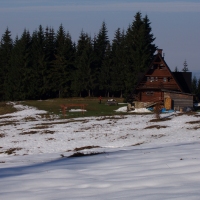 (14/97): Wycieczka turystyczna - Prze. Glinka (845m n.p.m.) - Krawcw Wierch (1084m n.p.m.) - Trzy Kopce (1216m n.p.m.) - Hala Rysianka (1260m n.p.m.) - Hala Lipowska - Zatna