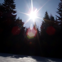 (15/97): Wycieczka turystyczna - Prze. Glinka (845m n.p.m.) - Krawcw Wierch (1084m n.p.m.) - Trzy Kopce (1216m n.p.m.) - Hala Rysianka (1260m n.p.m.) - Hala Lipowska - Zatna