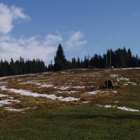 (21/97): Wycieczka turystyczna - Prze. Glinka (845m n.p.m.) - Krawcw Wierch (1084m n.p.m.) - Trzy Kopce (1216m n.p.m.) - Hala Rysianka (1260m n.p.m.) - Hala Lipowska - Zatna