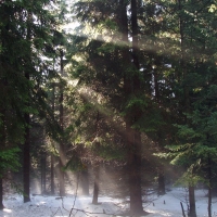 (27/97): Wycieczka turystyczna - Prze. Glinka (845m n.p.m.) - Krawcw Wierch (1084m n.p.m.) - Trzy Kopce (1216m n.p.m.) - Hala Rysianka (1260m n.p.m.) - Hala Lipowska - Zatna