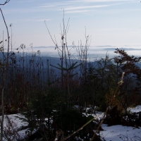 (33/97): Wycieczka turystyczna - Prze. Glinka (845m n.p.m.) - Krawcw Wierch (1084m n.p.m.) - Trzy Kopce (1216m n.p.m.) - Hala Rysianka (1260m n.p.m.) - Hala Lipowska - Zatna