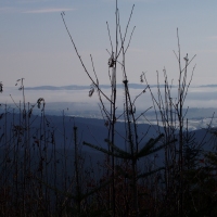 (35/97): Wycieczka turystyczna - Prze. Glinka (845m n.p.m.) - Krawcw Wierch (1084m n.p.m.) - Trzy Kopce (1216m n.p.m.) - Hala Rysianka (1260m n.p.m.) - Hala Lipowska - Zatna