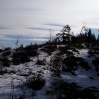 (40/97): Wycieczka turystyczna - Prze. Glinka (845m n.p.m.) - Krawcw Wierch (1084m n.p.m.) - Trzy Kopce (1216m n.p.m.) - Hala Rysianka (1260m n.p.m.) - Hala Lipowska - Zatna