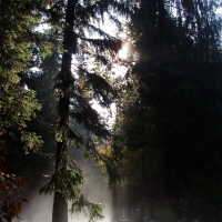 (49/97): Wycieczka turystyczna - Prze. Glinka (845m n.p.m.) - Krawcw Wierch (1084m n.p.m.) - Trzy Kopce (1216m n.p.m.) - Hala Rysianka (1260m n.p.m.) - Hala Lipowska - Zatna