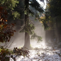 (50/97): Wycieczka turystyczna - Prze. Glinka (845m n.p.m.) - Krawcw Wierch (1084m n.p.m.) - Trzy Kopce (1216m n.p.m.) - Hala Rysianka (1260m n.p.m.) - Hala Lipowska - Zatna