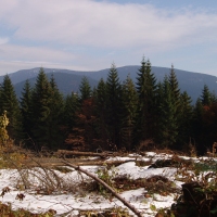 (60/97): Wycieczka turystyczna - Prze. Glinka (845m n.p.m.) - Krawcw Wierch (1084m n.p.m.) - Trzy Kopce (1216m n.p.m.) - Hala Rysianka (1260m n.p.m.) - Hala Lipowska - Zatna