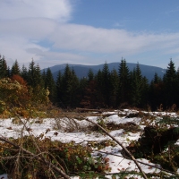 (61/97): Wycieczka turystyczna - Prze. Glinka (845m n.p.m.) - Krawcw Wierch (1084m n.p.m.) - Trzy Kopce (1216m n.p.m.) - Hala Rysianka (1260m n.p.m.) - Hala Lipowska - Zatna