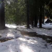 (63/97): Wycieczka turystyczna - Prze. Glinka (845m n.p.m.) - Krawcw Wierch (1084m n.p.m.) - Trzy Kopce (1216m n.p.m.) - Hala Rysianka (1260m n.p.m.) - Hala Lipowska - Zatna