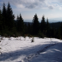 (67/97): Wycieczka turystyczna - Prze. Glinka (845m n.p.m.) - Krawcw Wierch (1084m n.p.m.) - Trzy Kopce (1216m n.p.m.) - Hala Rysianka (1260m n.p.m.) - Hala Lipowska - Zatna