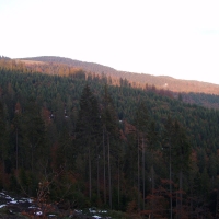(87/97): Wycieczka turystyczna - Prze. Glinka (845m n.p.m.) - Krawcw Wierch (1084m n.p.m.) - Trzy Kopce (1216m n.p.m.) - Hala Rysianka (1260m n.p.m.) - Hala Lipowska - Zatna