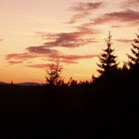 (96/97): Wycieczka turystyczna - Prze. Glinka (845m n.p.m.) - Krawcw Wierch (1084m n.p.m.) - Trzy Kopce (1216m n.p.m.) - Hala Rysianka (1260m n.p.m.) - Hala Lipowska - Zatna