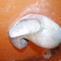 (15/117): Zaj�cia ze wspinaczki na �ciance wspinaczkowej w Paw�owicach  29.11.2009r.
