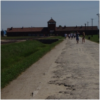 (29/43): 18.08.2013_brzezinka_029.jpg