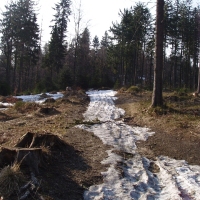 (15/105): Wycieczka turystyczna 21.04.2013r.<br>
Szczyrk - Salmopol - Klimczok - Szyndzielnia - Dbowiec - Bielsko - Biaa