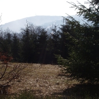 (19/105): Wycieczka turystyczna 21.04.2013r.<br>
Szczyrk - Salmopol - Klimczok - Szyndzielnia - Dbowiec - Bielsko - Biaa