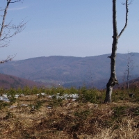 (29/105): Wycieczka turystyczna 21.04.2013r.<br>
Szczyrk - Salmopol - Klimczok - Szyndzielnia - Dbowiec - Bielsko - Biaa