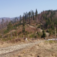 (54/105): Wycieczka turystyczna 21.04.2013r.<br>
Szczyrk - Salmopol - Klimczok - Szyndzielnia - D�bowiec - Bielsko - Bia�a