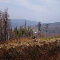 (59/105): Wycieczka turystyczna 21.04.2013r.<br>
Szczyrk - Salmopol - Klimczok - Szyndzielnia - D�bowiec - Bielsko - Bia�a