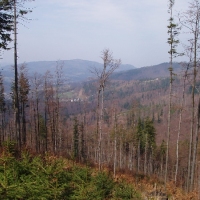 (60/105): Wycieczka turystyczna 21.04.2013r.<br>
Szczyrk - Salmopol - Klimczok - Szyndzielnia - D�bowiec - Bielsko - Bia�a