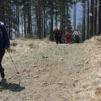 (69/105): Wycieczka turystyczna 21.04.2013r.<br>
Szczyrk - Salmopol - Klimczok - Szyndzielnia - D�bowiec - Bielsko - Bia�a