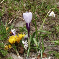 (72/105): Wycieczka turystyczna 21.04.2013r.<br>
Szczyrk - Salmopol - Klimczok - Szyndzielnia - D�bowiec - Bielsko - Bia�a