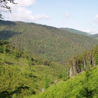 (9/105): Wycieczka turystyczna - 