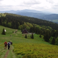 (48/105): Wycieczka turystyczna - 