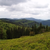 (59/105): Wycieczka turystyczna - 
