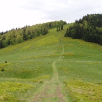 (60/105): Wycieczka turystyczna - 