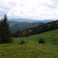 (61/105): Wycieczka turystyczna - 