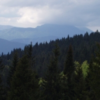 (63/105): Wycieczka turystyczna - 